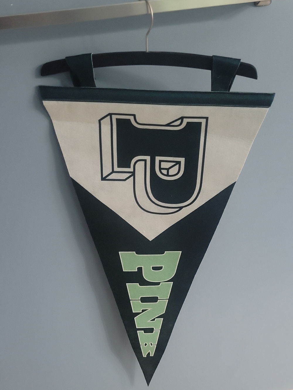 Vintage Pennant Wall Hanging with Bold Graphic Victoria Secret Pink